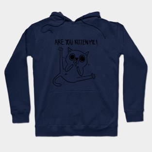 Are you kitten me! cute cat tshirt Hoodie